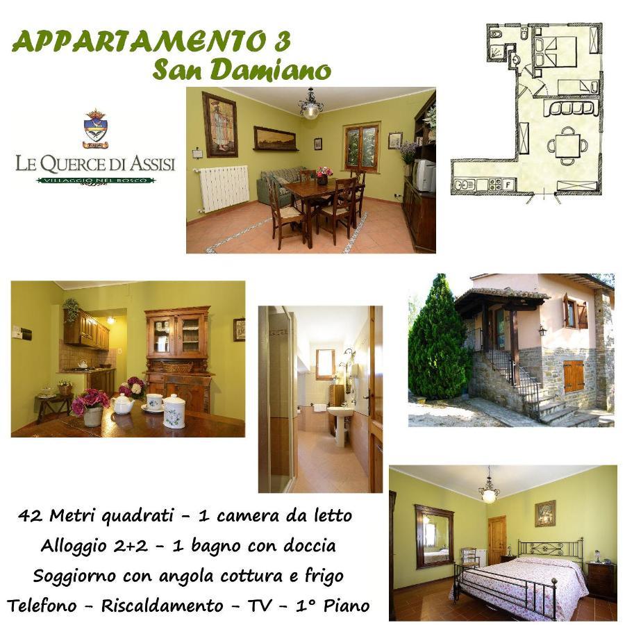 בית הארחה Piano Delle Pieve 	Le Querce Di Assisi מראה חיצוני תמונה